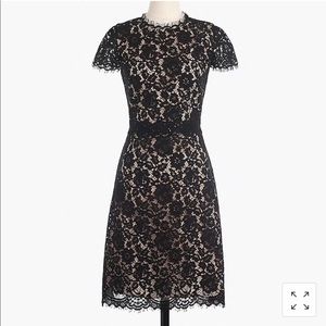J. Crew Collection NWT Lace Fit-and-Flare Dress
